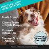 imageCalming Chews for Cats  Cat Anxiety Relief  Helps Reduce Stress  Behavioral Support ampamp Promotes Relaxation for Travel Boarding Vet Visits Separation Anxiety  Chicken 30Day SupplyPeanut Butter