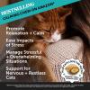 imageCat Calming  Cat Multivitamins Dual Texture Chew Supplement Bundle  Helps Reduce Stress and Cat Anxiety Supports Overall Immune Health Joints Skin ampamp Coat and Digestion