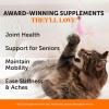 imageCat Multivitamin  Cat Hip ampamp Joint Daily Essentials Bundle  Crunchy ampamp Creamy Chews for Immune Health Joint Support and Skin ampamp Coat
