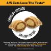 imageCat Multivitamins  Cat Immune Support Lysine Dual Texture Chew Supplement Bundle  Supports Overall Immune Health Joints Skin ampamp Coat and Cat Allergy Relief  Sneezing Runny Nose
