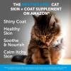 imageCat Skin ampamp Coat Health Crunchy ampamp Creamy Chews  Omegas Vitamin C  E Biotin Supplement Soothes Skin and Promotes Shiny Coat Cat Supplements ampamp Vitamins  Chicken 30Day Supply