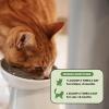 imageCat Urinary Tract Health Crunchy ampamp Creamy Chews  Promotes Healthy Digestion ampamp Normal Bladder Function with Cranberry Antioxidants ampamp Probiotics  Kidney  Bladder Support Supplement 30 Day SupplyDigestive Powder