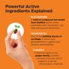 image10 in 1 Multivitamin  Hip ampamp Joint Health Soft Chew Supplement Bundle  Dog Vitamins  Glucosamine Chondroitin Omegas Turmeric and MSM for Overall Dog Health Joint Supplement for Dogs