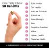 image10 in 1 Multivitamin  Hip ampamp Joint Health Soft Chew Supplement Bundle  Dog Vitamins  Glucosamine Chondroitin Omegas Turmeric and MSM for Overall Dog Health Joint Supplement for Dogs