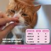 imageCat Multivitamin Crunchy ampamp Creamy Chews  Cat Treats for Health  Immune Joint Support Skin ampamp Coat ampamp Digestion  Vitamins with Omega 3s Lysine ampamp Probiotics 30 Day SupplyChicken  Cat