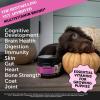 imageCat Multivitamin Crunchy ampamp Creamy Chews  Cat Treats for Health  Immune Joint Support Skin ampamp Coat ampamp Digestion  Vitamins with Omega 3s Lysine ampamp Probiotics 30 Day SupplyBacon  Puppy