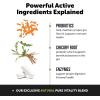 imageDigestive Probiotics for Dogs  10 in 1 Multivitamin Soft Chew Supplement Bundle  Dog Vitamins  Probiotics Pumpkin Digestive Enzyme for Dogs Dog Vitamins for Overall Health