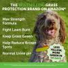 imageGrass Green Dog Chews  Urine Neutralizer for Lawn Dog Pee Grass Helps Yard Stay Green Addressing Burn Spots with Probiotics ampamp Enzymes DuckMax Strength  Grass Green