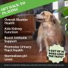 imageGrass Green Max Strength Burn Spot Chews for Dogs  Premium Formula  Dog Pee Lawn Spot Saver Supplement Caused by Dog Urine Supports Healthy Digestion wProbiotics  DLMethionine  90ctBladder Health  Chicken