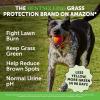 imageGrass Green Max Strength Burn Spot Chews for Dogs  Premium Formula  Dog Pee Lawn Spot Saver Supplement Caused by Dog Urine Supports Healthy Digestion wProbiotics  DLMethionine  90ctGrass Green  Duck