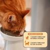 imageImmune Health Lysine  Cat Allergy Relief Supplement Powder for Cats  Immune Health  Sneezing Runny Nose Watery Eyes  Cats ampamp Kittens of All Ages  Omega 3s LLysine  Chicken ampamp Fish