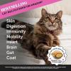 imagePet Honesty Cat Multivitamin Chews  Cat Treats for Health  Immune Cat Joint Support Skin ampamp Coat and Digestion  Omega 3s Lysine for Cats Cat Probiotic Cat Vitamins  Chicken 2 Pack
