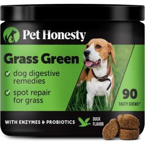 imageGrass Green Max Strength Burn Spot Chews for Dogs  Premium Formula  Dog Pee Lawn Spot Saver Supplement Caused by Dog Urine Supports Healthy Digestion wProbiotics  DLMethionine  90ctGrass Green  Duck