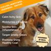 imageDog Allergy Relief Seasonal Itch Relief Shampoo for Dogs and Cats  Dog Skin and Coat Supplement Itch Support for Dogs Moisturizing and Hydrating Coconut Oil  Vitamin E 16 oz