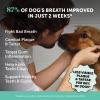imageDog Breath Freshener Dental Powder for Teeth Cleaning Plaque Off Dental Care for Large Dogs Tartar Remover for Teeth with Natural Herbal Blend  Postbiotics Mint  60 ServingsMint