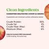 imagePumpkin Fiber Powder Supplement for Dogs  All Natural Dog Probiotic with Psyllium Husk Pumpkin Seeds and Apple Pectin for Healthy Digestion 90 ScoopsFiber Powder