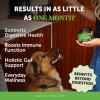 imagePumpkin Fiber Powder Supplement for Dogs  All Natural Dog Probiotic with Psyllium Husk Pumpkin Seeds and Apple Pectin for Healthy Digestion 90 ScoopsPumpkin Probiotics