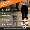 imageJoint Health Bundle Hip ampamp Joint Support Chews with Glucosamine MSM and Turmeric  Salmon Oil Dog Food Topper for Stiffness Relief and Joint Support