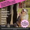 imageOmega 3 Fish Oil ampamp Multivitamin Max Strength Bundle Wild Caught Omega 3 Supplement ampamp 15in1 Dog Vitamins for Skin Coat and Health 32oz