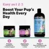 imageProbiotics ampamp Pumpkin Fiber Powder Bundle Dog Probiotics for Gut Health ampamp Stool Regularity Pumpkin 90 ct