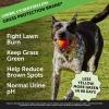 imageDog Urine Neutralizer ampamp Probiotics Bundle Grass Burn Spot Saver ampamp Digestive Health Support Chews Turkey ampamp Duck 90 ct