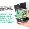 imagePet Honesty Dental Health Fresh Sticks  Oral Hygiene Dental Treat for Dogs  Dental Dog Chews  Freshen Dog Breath Reduce Plaque  Tartar  16 SticksCat Dental Bits