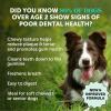 imagePet Honesty Dental Health Fresh Sticks  Oral Hygiene Dental Treat for Dogs  Dental Dog Chews  Freshen Dog Breath Reduce Plaque  Tartar  16 SticksDog Dental Sticks Mint